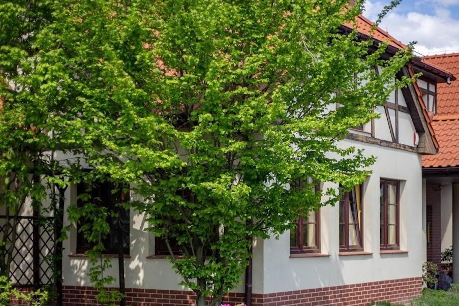 Villa Barbara Oborniki Śląskie 외부 사진